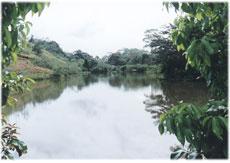 Invest on an ecological paradise