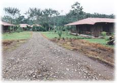 Invest on an ecological paradise