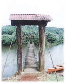 Invest on an ecological paradise