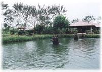 Paraiso ecologico en San Carlos