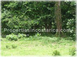 Guapiles lot for sale, Limon lots, land for sale, public road frontage, access, investment, opportunity, 1728