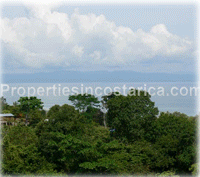 Jungle domains with a 3 level ocean view tower awaiting occupancy