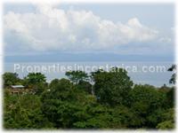 Jungle domains with a 3 level ocean view tower awaiting occupancy