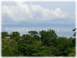 Pavones for sale, Pavones land, Pavones jungle, Puntarenas, Costa Rica, south pacific, tree house, surfing, fishing, hiking, wildlife, point break, river, tree house, watch tower, rain forest, real jungle, 1511