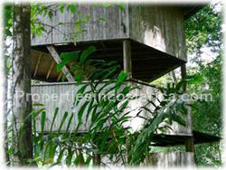 Pavones for sale, Pavones land, Pavones jungle, Puntarenas, Costa Rica, south pacific, tree house, surfing, fishing, hiking, wildlife, point break, river, tree house, watch tower, rain forest, real jungle, 1511