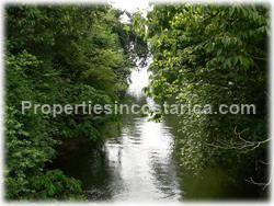 Pavones for sale, Pavones land, Pavones jungle, Puntarenas, Costa Rica, south pacific, tree house, surfing, fishing, hiking, wildlife, point break, river, tree house, watch tower, rain forest, real jungle, 1511