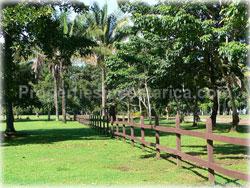 Beachfront Costa Rica, Pavones Costa Rica, Pavones real estate, land, investment land, acreage, south pacific, 1820