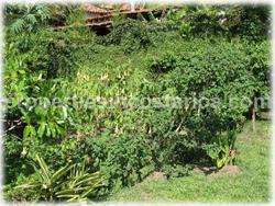 Escazu lot For Sale, beautifully landscaped lot for sale