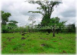 Limon real estate, Limon lots, Guapiles, for sale, river, investment