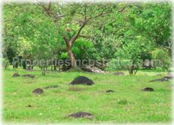 Limon real estate, Limon lots, Guapiles, for sale, river, investment