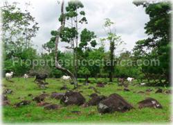 Limon real estate, Limon lots, Guapiles, for sale, river, investment