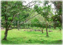 Limon real estate, Limon lots, Guapiles, for sale, river, investment