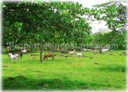 Limon real estate, Limon lots, Guapiles, for sale, river, investment