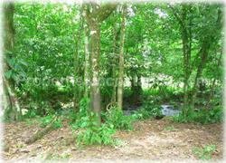 Limon real estate, Limon lots, Guapiles, for sale, river, investment