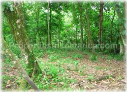 Limon real estate, Limon lots, Guapiles, for sale, river, investment