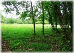 Limon real estate, Limon lots, Guapiles, for sale, river, investment