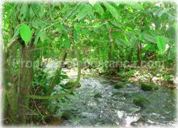 Limon real estate, Limon lots, Guapiles, for sale, river, investment