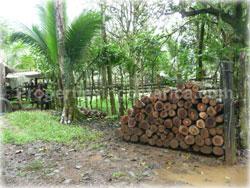 Limon land for sale, Guapiles land, Pococi land, real estate, river, farming, wood, horse, cattle, husbandry, investment,1743