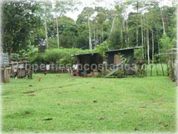 Limon land for sale, Guapiles land, Pococi land, real estate, river, farming, wood, horse, cattle, husbandry, investment,1743