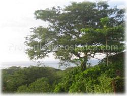 Tamarindo for sale, Tamarindo real estate, oceanview, pool, terrace, fuly furnished, 2 story,  1617