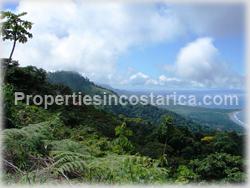 ominical real estate, Dominical for sale, nature, ocean view, mountain view, flora, fauna, wildlife, acres, large, investment opportunity, 1477