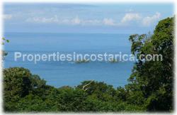 Ballena costa rica, real estate, for sale, ecolodge, pool, oceanview, investment, commercial, business, 1890