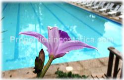 Ballena costa rica, real estate, for sale, ecolodge, pool, oceanview, investment, commercial, business, 1890