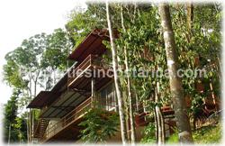 Ballena costa rica, real estate, for sale, ecolodge, pool, oceanview, investment, commercial, business, 1890