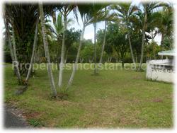 fruit trees, lots with houses