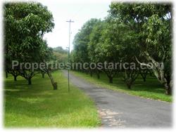 Costa Rica lots for sale.