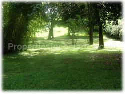 Alajuela for sale, airport proximity