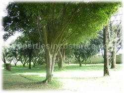 fruit trees, lots with houses, Costa Rica lots for sale.