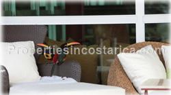 Manuel Antonio Vacation rentals, vacation homes, Manuel Antonio Costa Rica, ocean view, large groups, swimming pool