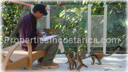 Manuel Antonio Vacation rentals, vacation homes, Manuel Antonio Costa Rica, ocean view, large groups, swimming pool