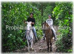 Vacation Costa Rica, Yoga Retreat, Boot Camp, Vacation Farm, estate, ranch, secluded mountain estate, horses, Wildlife, quiet vacation stay