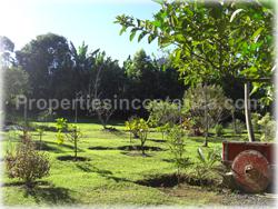 Escazu for sale, lot for sale, Escazu real estate, investment, house, nature, golden mile, trees, flora, fauna, 1440