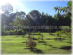 Escazu for sale, lot for sale, Escazu real estate, investment, house, nature, golden mile, trees, flora, fauna, 1440