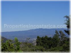 Escazu for sale, lot for sale, Escazu real estate, investment, house, nature, golden mile, trees, flora, fauna, 1440
