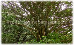 Costa Rica real estate, Santa Ana Costa Rica, land for sale, panoramic views, montana del sol, gated community, building land