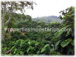 Costa Rica real estate, coffe plantation Costa Rica, for sale, producing, fertile, investment, coffee farm, business, fertile plantation