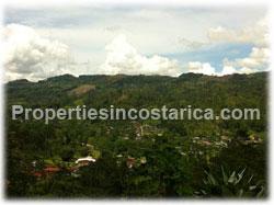 Costa Rica real estate, coffe plantation Costa Rica, for sale, producing, fertile, investment, coffee farm, business, fertile plantation