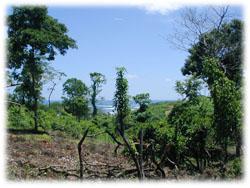 beach lots for sale