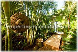 beach house, for rent, rentals
