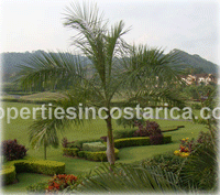 costa rica real estate
