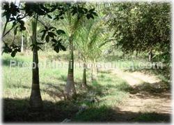 Oceanview lot, Montezuma ocean view, for sale, Montezuma real estate, 1559