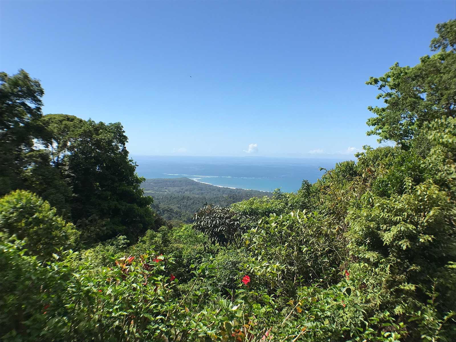 view