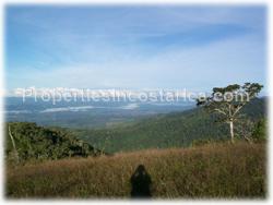 Puntarenas mountain, mountain for sale, mountain land, development, investment, 1595