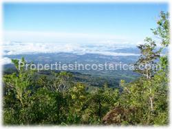 Puntarenas mountain, mountain for sale, mountain land, development, investment, 1595