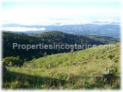 Puntarenas mountain, mountain for sale, mountain land, development, investment, 1595