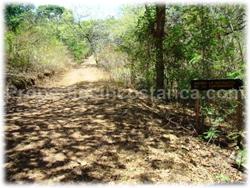Tamarindo land, for sale, oceanview, mountain view, hills, creek, nature, animals, trees, tamarindo downtown, beach, 1580